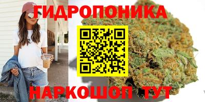 spice Тула